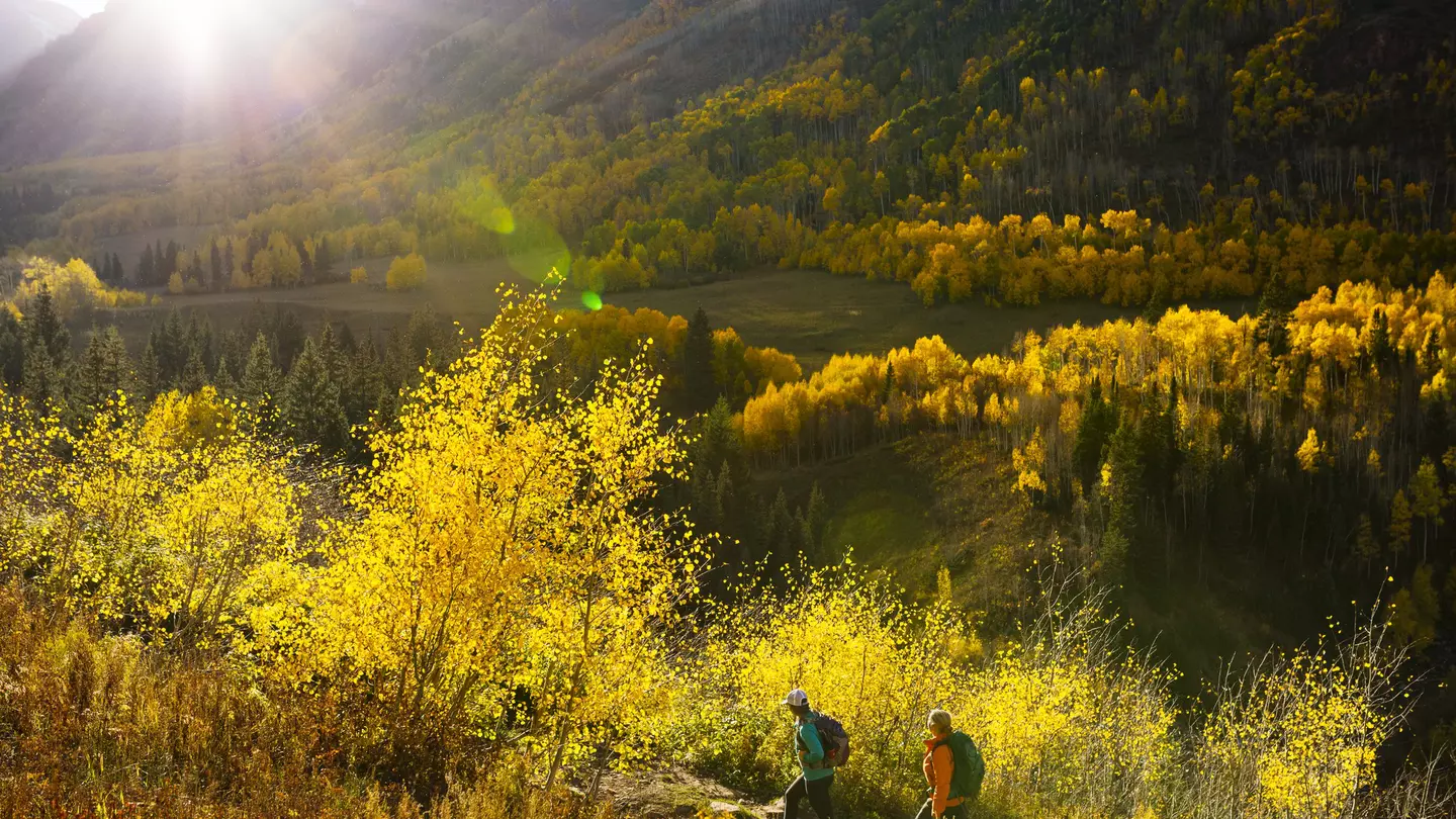 Two hikers walking along a trail in Aspen, Colorado during fall