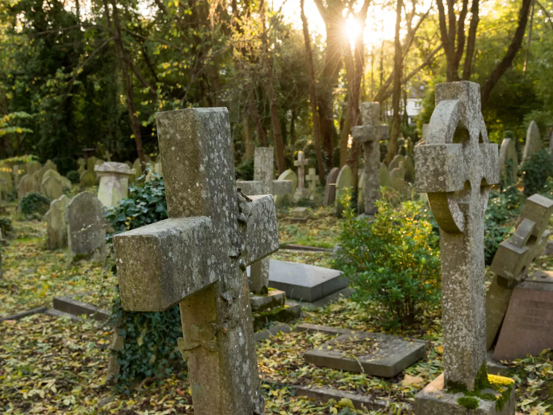 Highgate Cemetery in London, England.
Highgate Cemetery, London, England, UK, Great Britain, British Isles, Western Europe, Europe, outdoors, daytime, nobody, cemetery, burial site, memory, grave, grave marker, death, headstone, travel, travel destinations