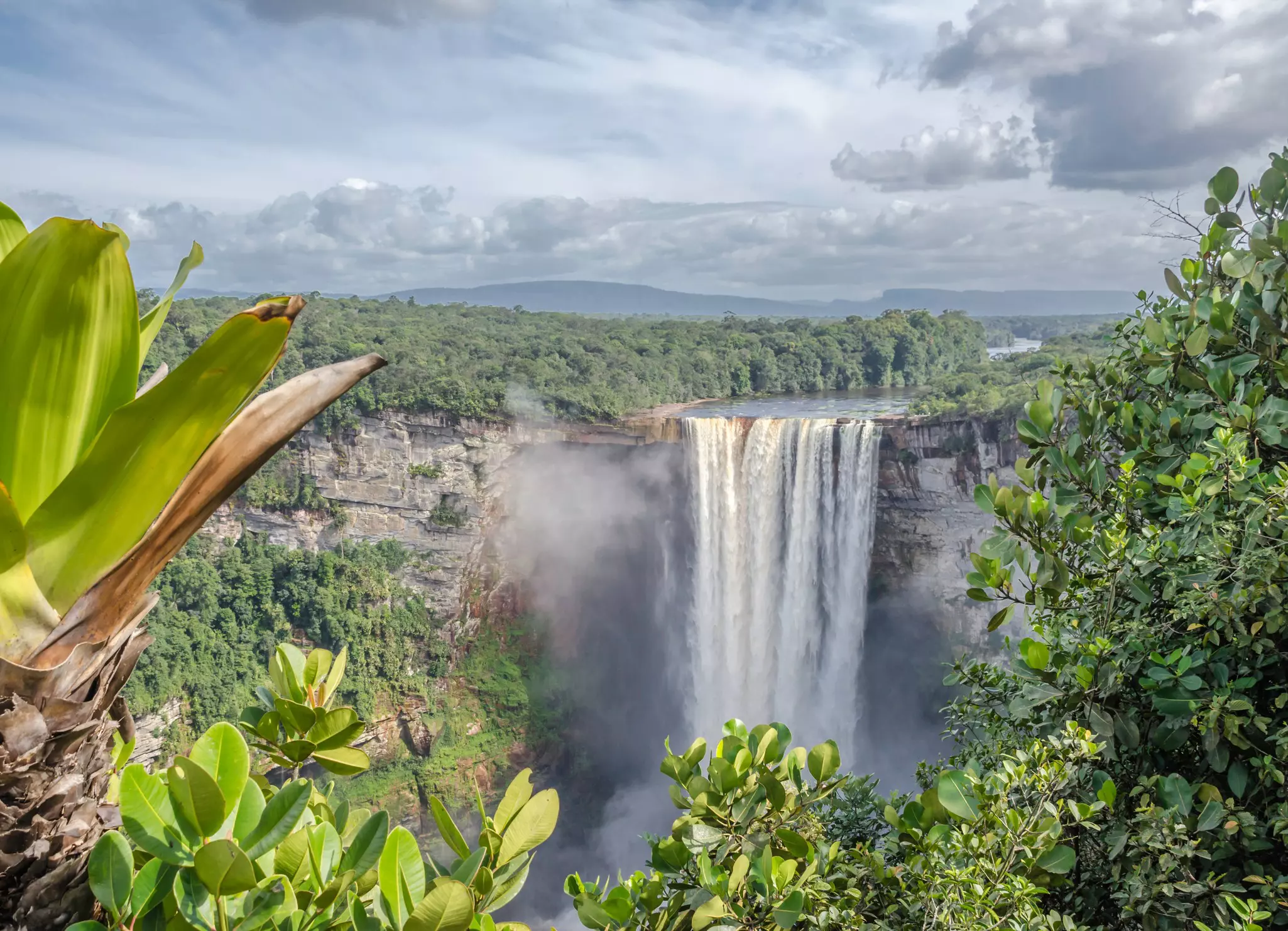 A powerful waterfall through lush greenery.