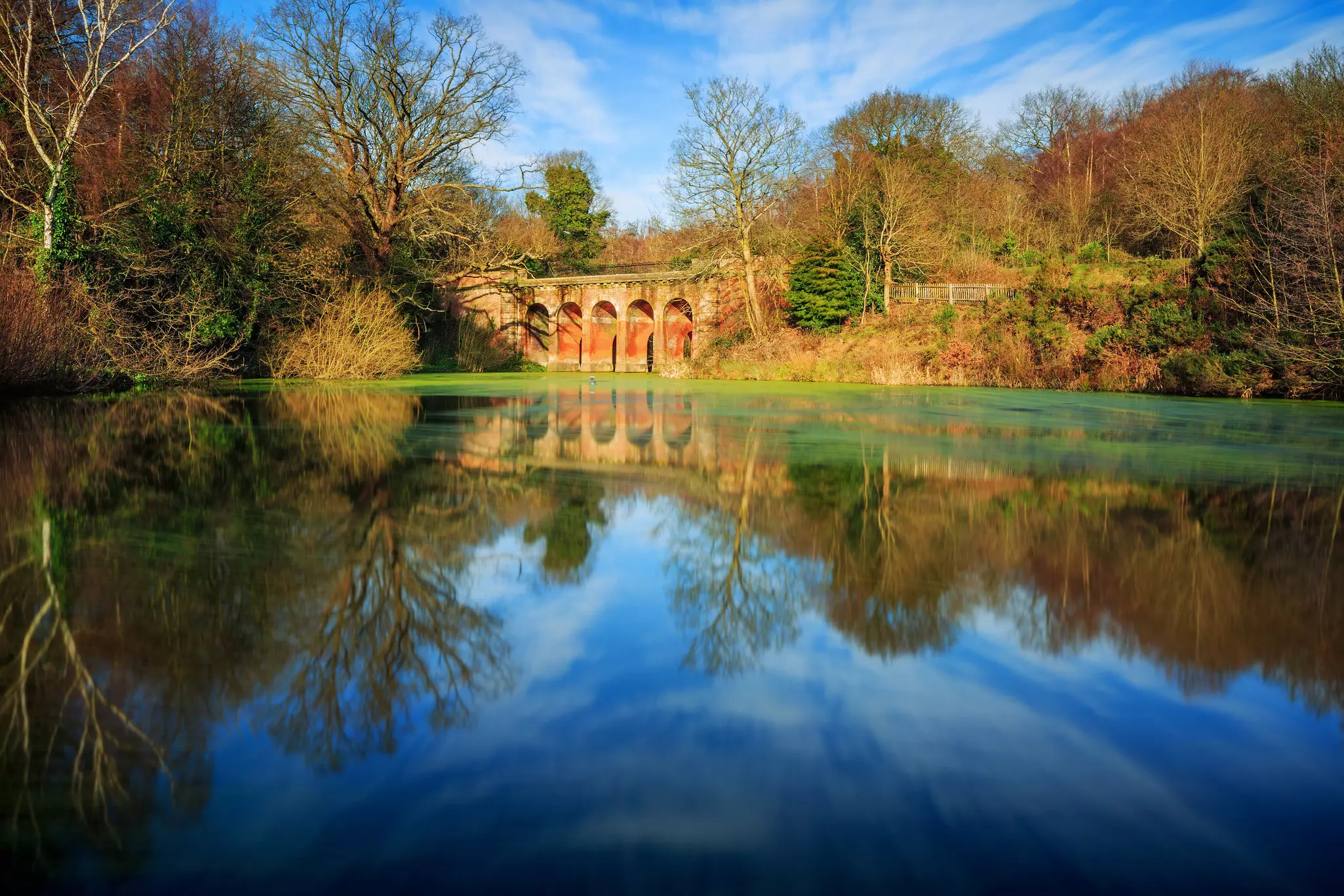 Hampstead Heath pond in London, England.