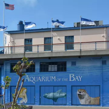 SAN FRANCISCO, USA - MAY 19 2015:Aquarium of the Bay in San Francisco, California.The Aquarium is focused on local aquatic animals from the San Francisco Bay and neighboring waters.
39, america, american, animals, aquarium, aquatic, architecture, attraction, bay, beach, buildings, california, center, city, cityscape, culture, destination, embarcadero, financial, fisherman, flag, flags, francisco, global, historical, history, jellyfish, landmark, lions, local, marine, of, otter, people, pier, public, san, scene, sea, sharks, sightseeing, states, street, the, tourism, tourist, travel, underwater, united, urban, usa, water, wharf, wildlife