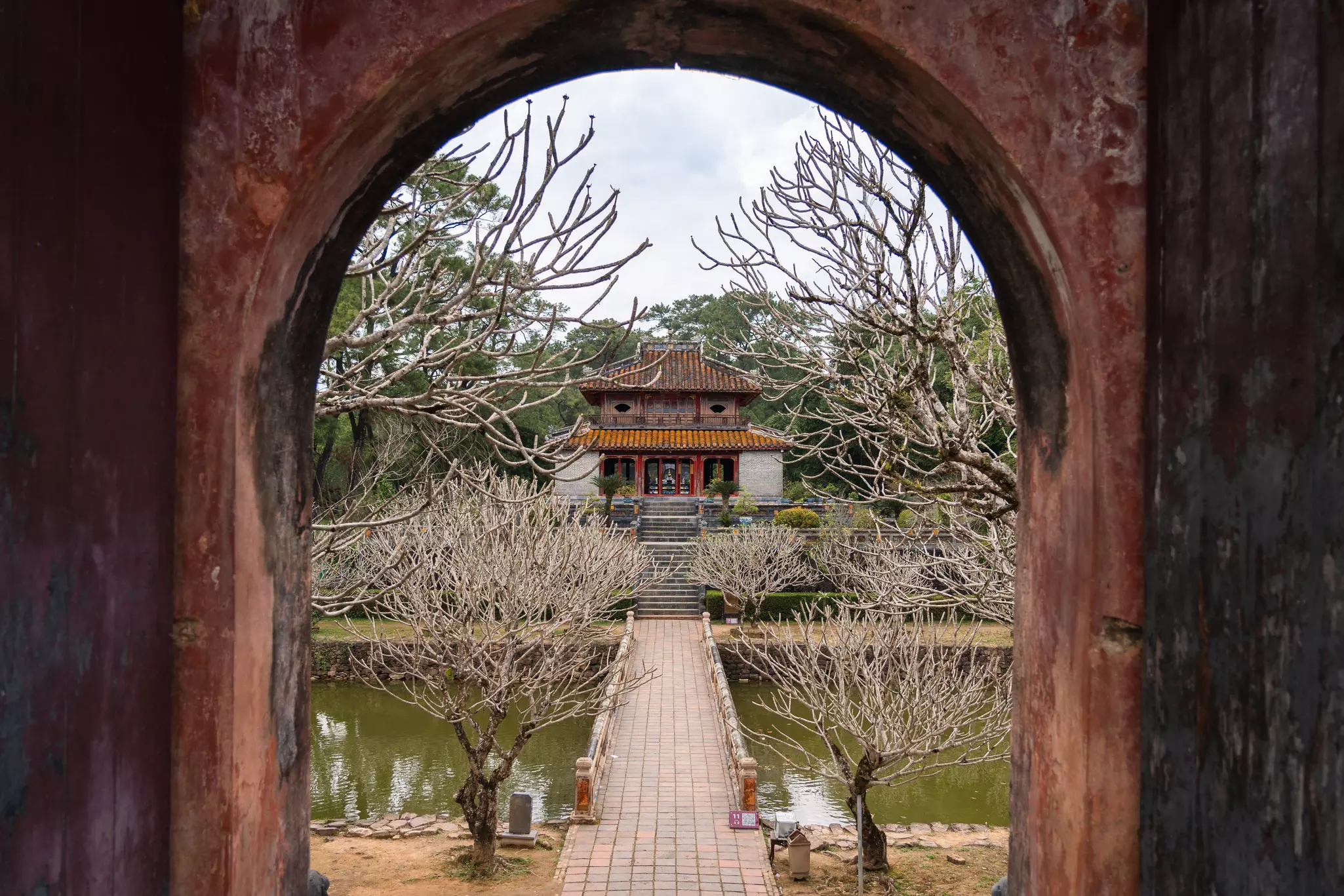 DSC_0101.jpg