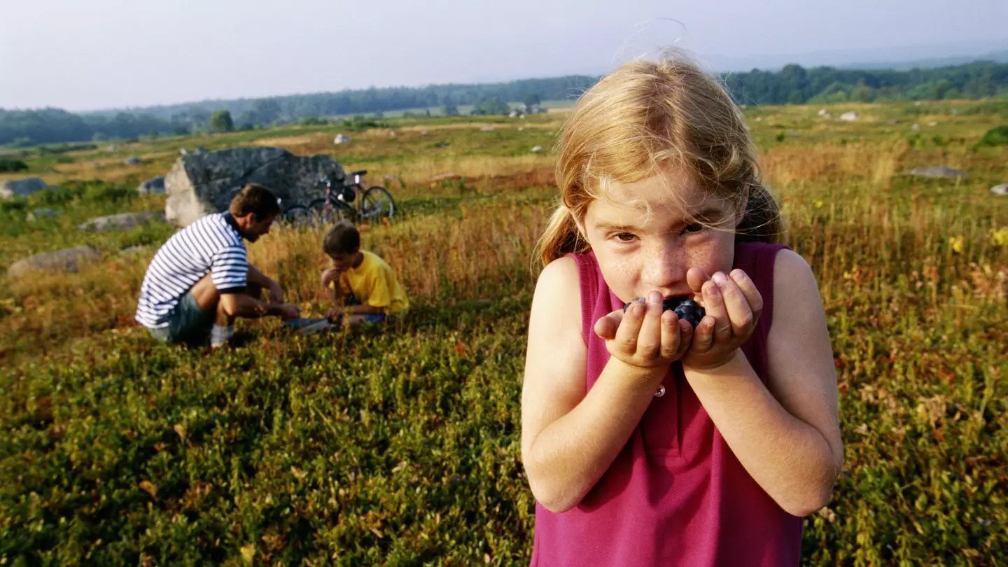 Maine is big on small farms, fisheries and orchards, making it an ideal place to engage your kids’ interest in local produce © Mike Brinson / Getty Images