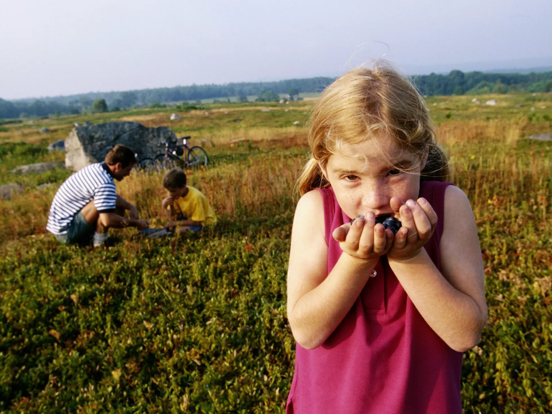 Maine is big on small farms, fisheries and orchards, making it an ideal place to engage your kids’ interest in local produce © Mike Brinson / Getty Images