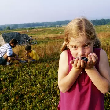 Maine is big on small farms, fisheries and orchards, making it an ideal place to engage your kids’ interest in local produce © Mike Brinson / Getty Images