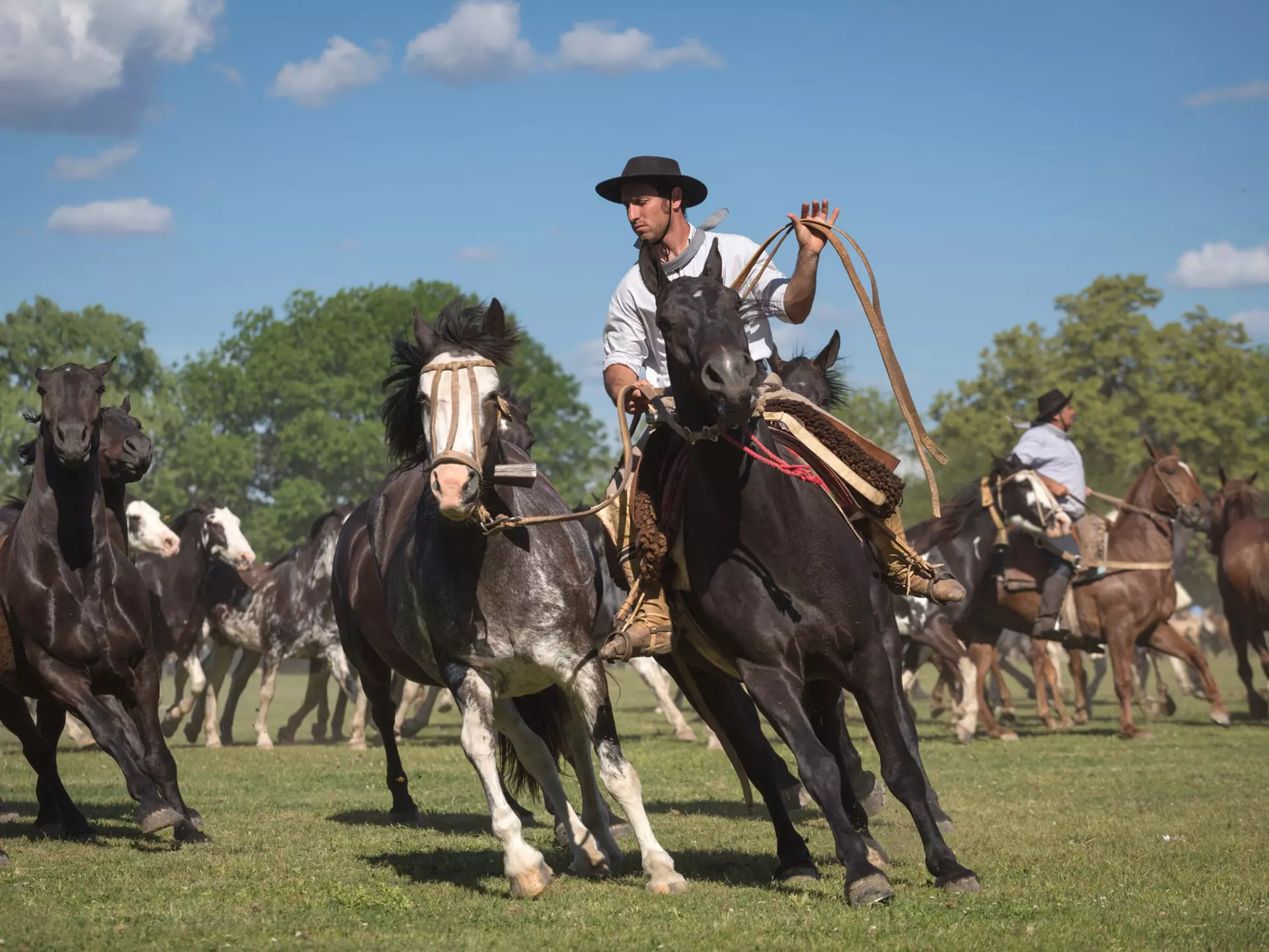 A man in traditional dress riding a horse prepares to throw a lasso, followed by other horses.