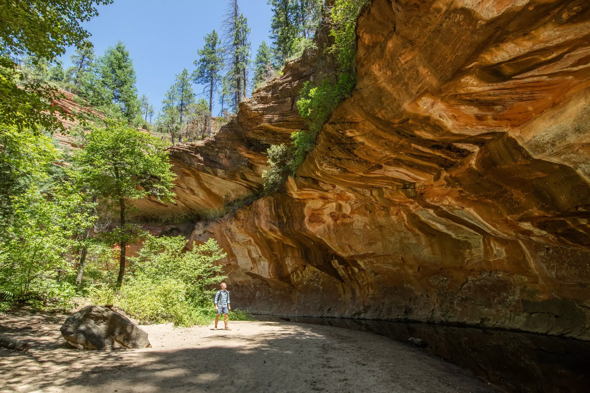 Man trekking through Oak Creek Canyon on the West Fork trail in Arizona, between Flagstaff and Sedona surrounded by beautiful red rock and lush green forest