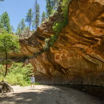 Man trekking through Oak Creek Canyon on the West Fork trail in Arizona, between Flagstaff and Sedona surrounded by beautiful red rock and lush green forest