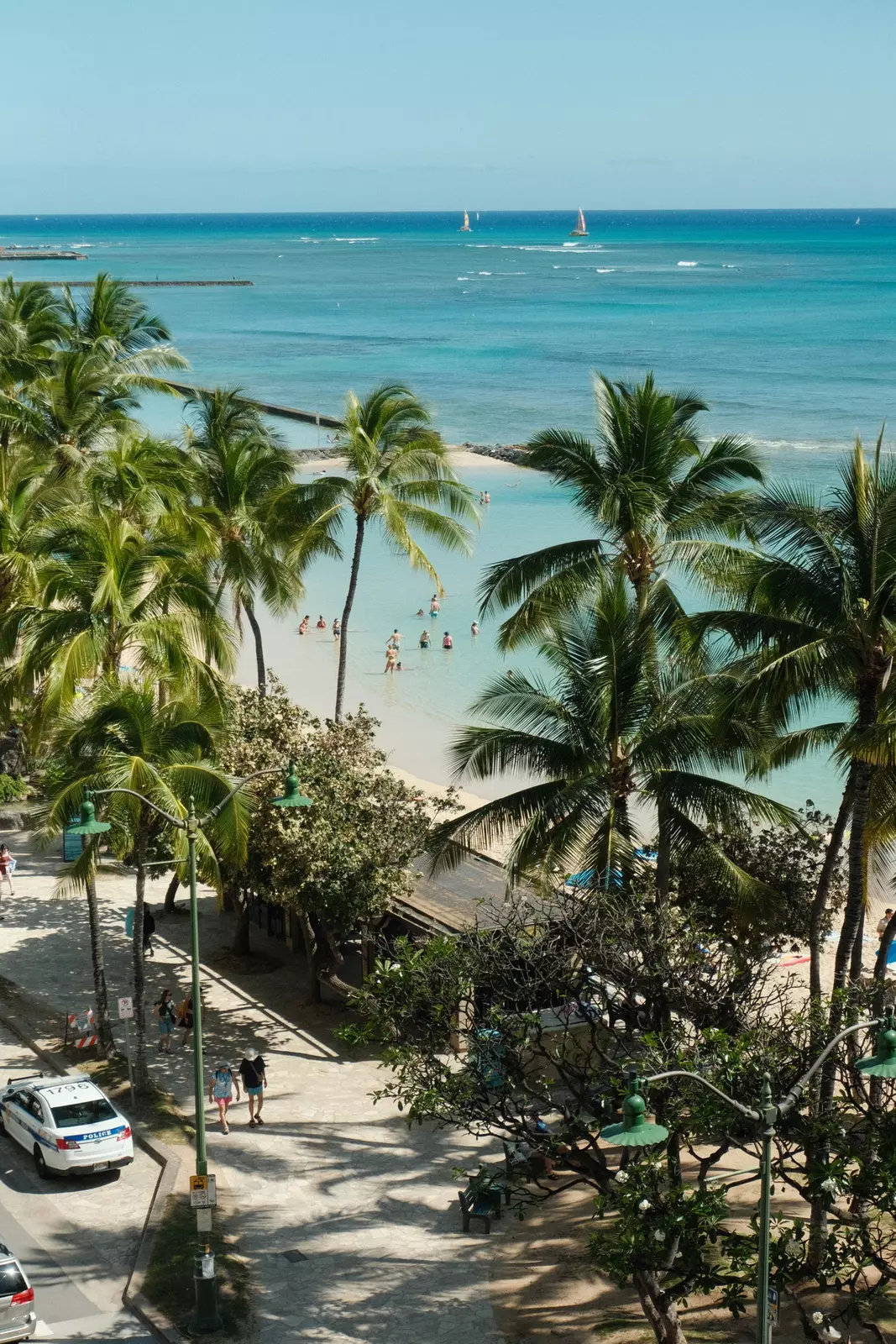 People in an infinity pool beside the sea surrounded by palm trees.