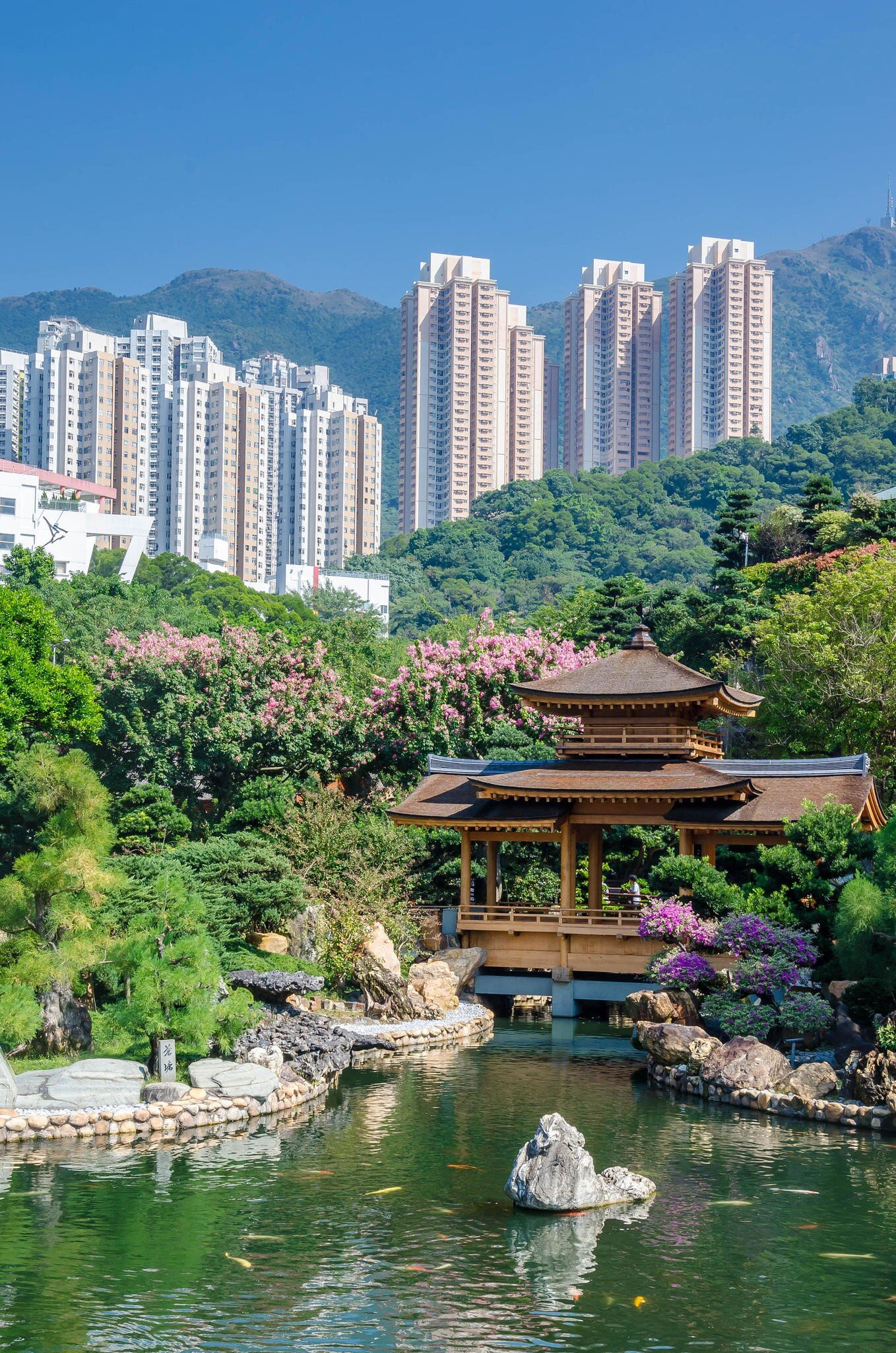 A pond and pavilion at the Nan Lian Garden with skyscrapers beyond.
1234803601
architecture, beautiful, bridge, chi, china, chinese, flower, garden, golden, green, hong, kong, landmark, landscape, lian, lin, nan, natural, nunnery, oriental, outdoors, park, pavilion, plant, sky, temple, traditional, travel, tree, water