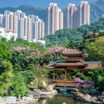 A pond and pavilion at the Nan Lian Garden with skyscrapers beyond.
1234803601
architecture, beautiful, bridge, chi, china, chinese, flower, garden, golden, green, hong, kong, landmark, landscape, lian, lin, nan, natural, nunnery, oriental, outdoors, park, pavilion, plant, sky, temple, traditional, travel, tree, water