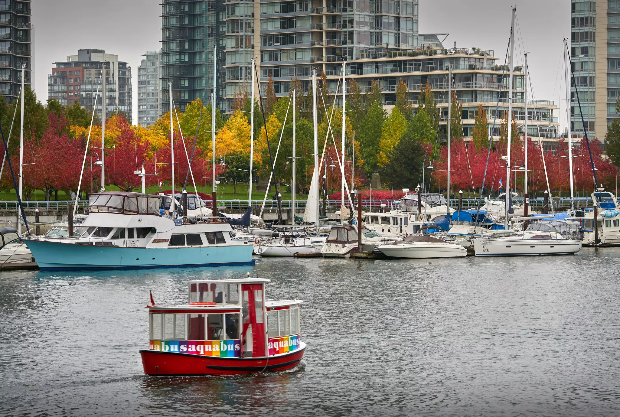 A small red passenger boat with a rainbow motif crosses a waterway in a harbor city.
