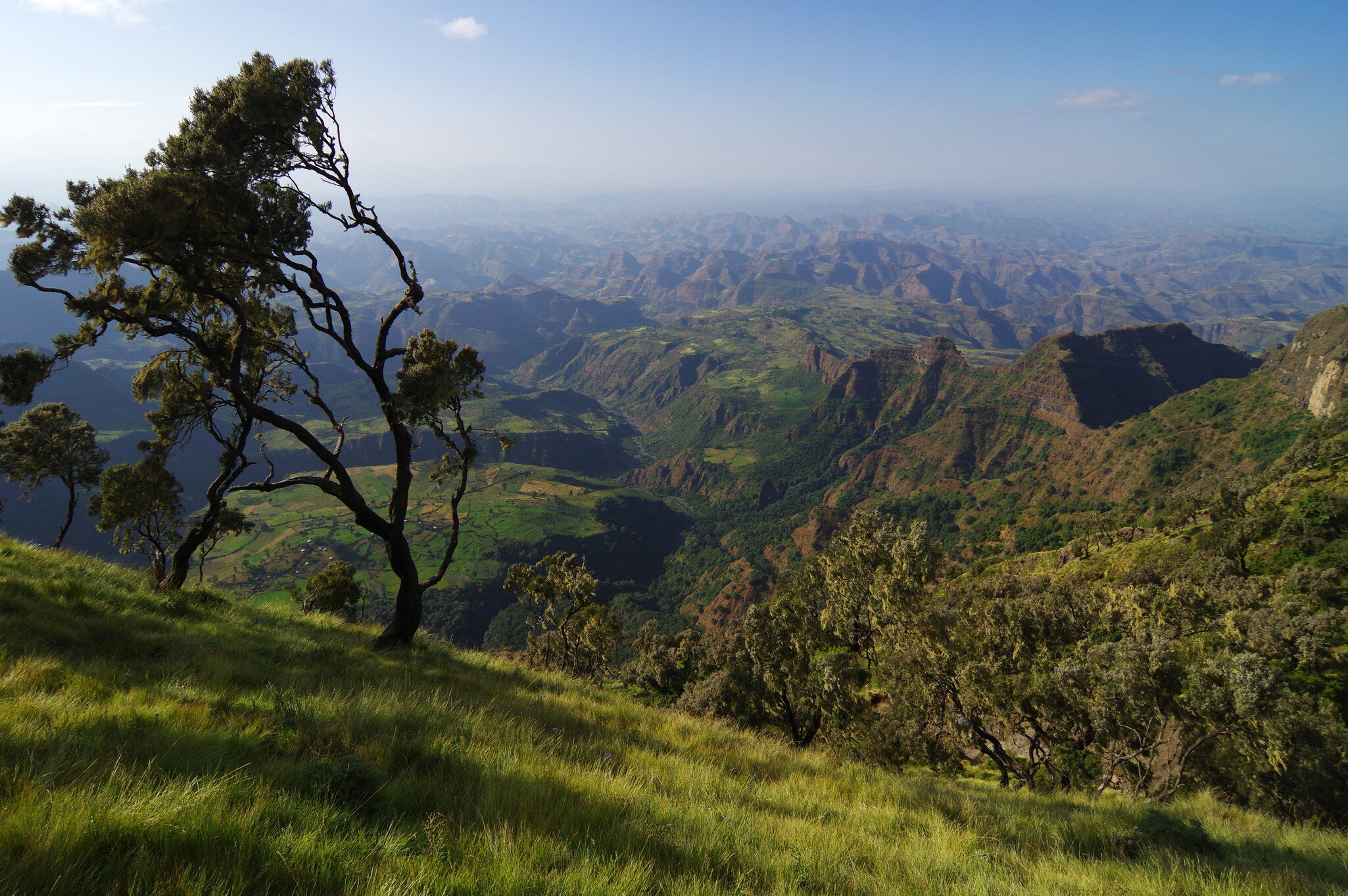 Evening view from the cimien plateau