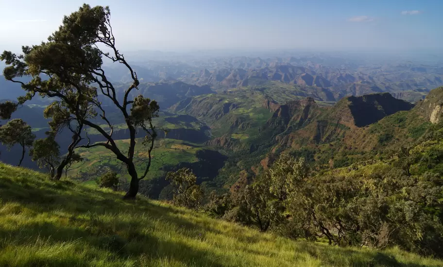 Evening view from the cimien plateau