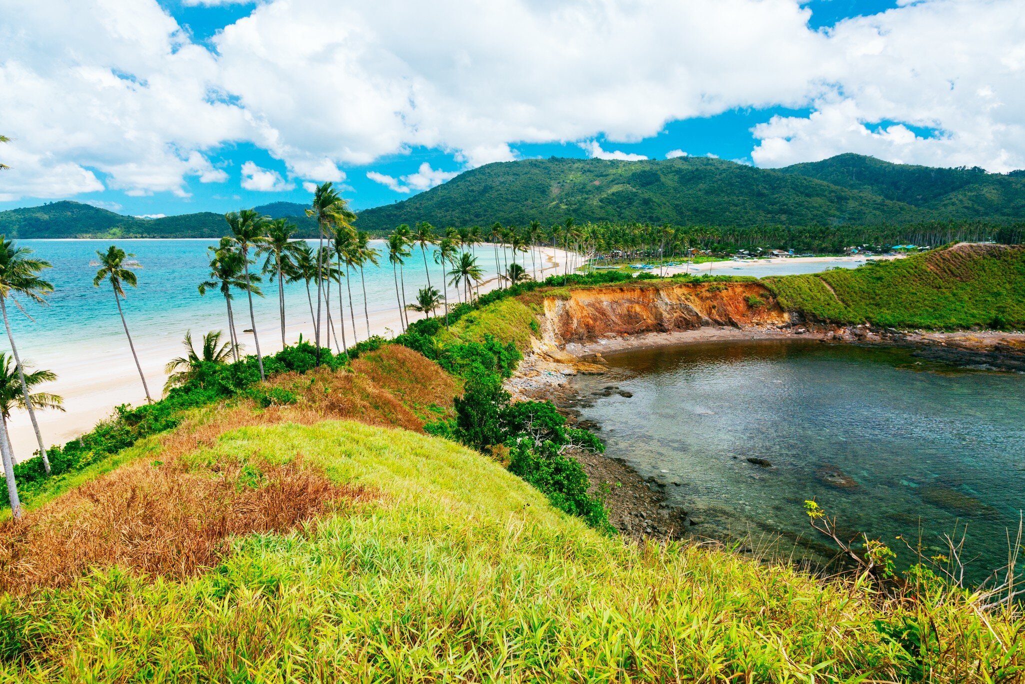 Coconut palms leaning over pale sand and turquoise sea, with a grassy headland, a rocky cove and forested hills behind