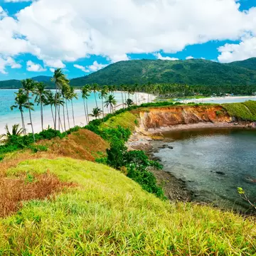 Coconut palms leaning over pale sand and turquoise sea, with a grassy headland, a rocky cove and forested hills behind