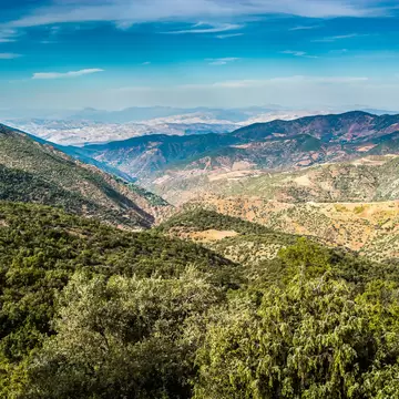 Green oak-covered hillsides falling away to a valley and rows of hazy Middle Atlas ridges under a blue sky.