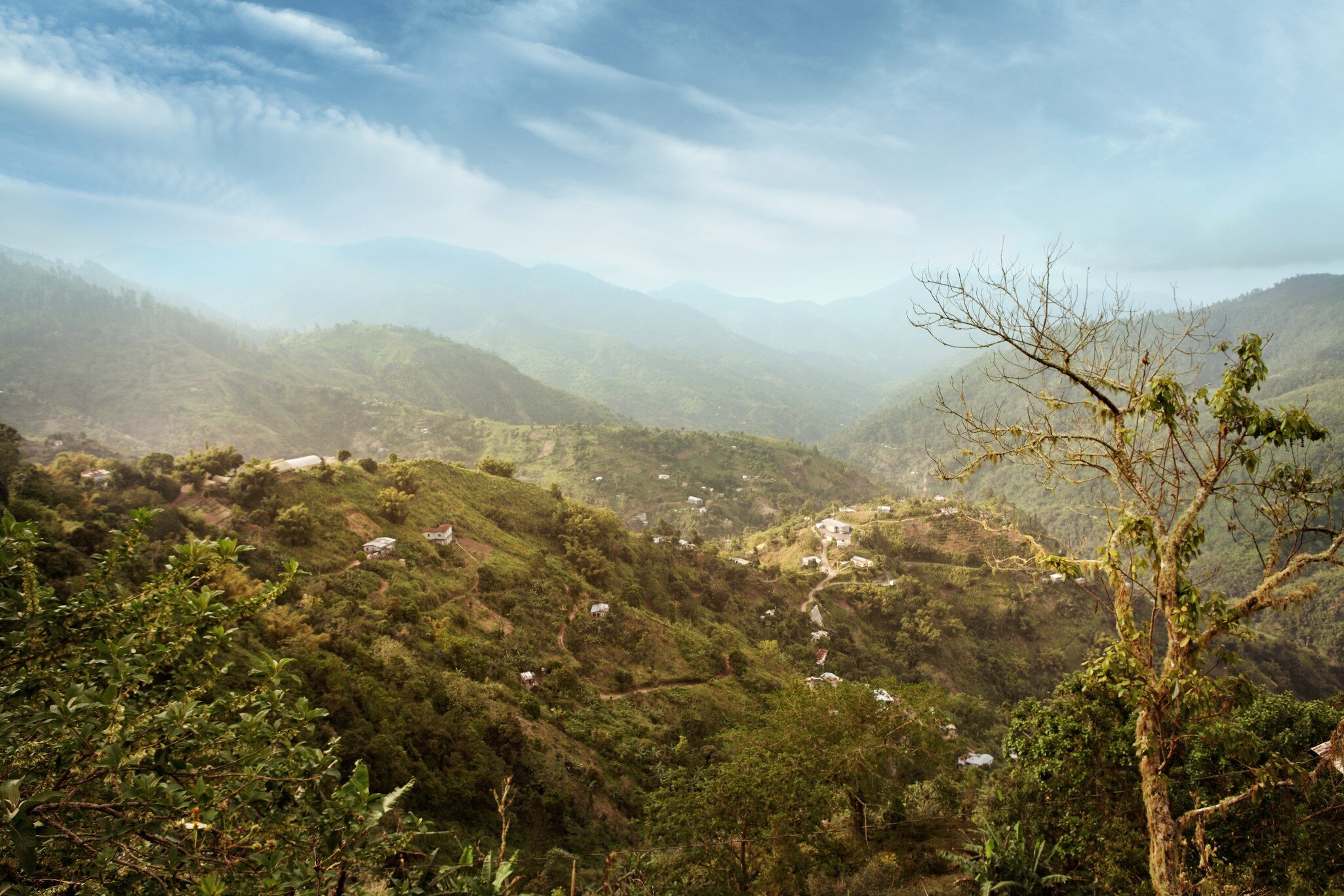 Blue Mountains in Jamaica