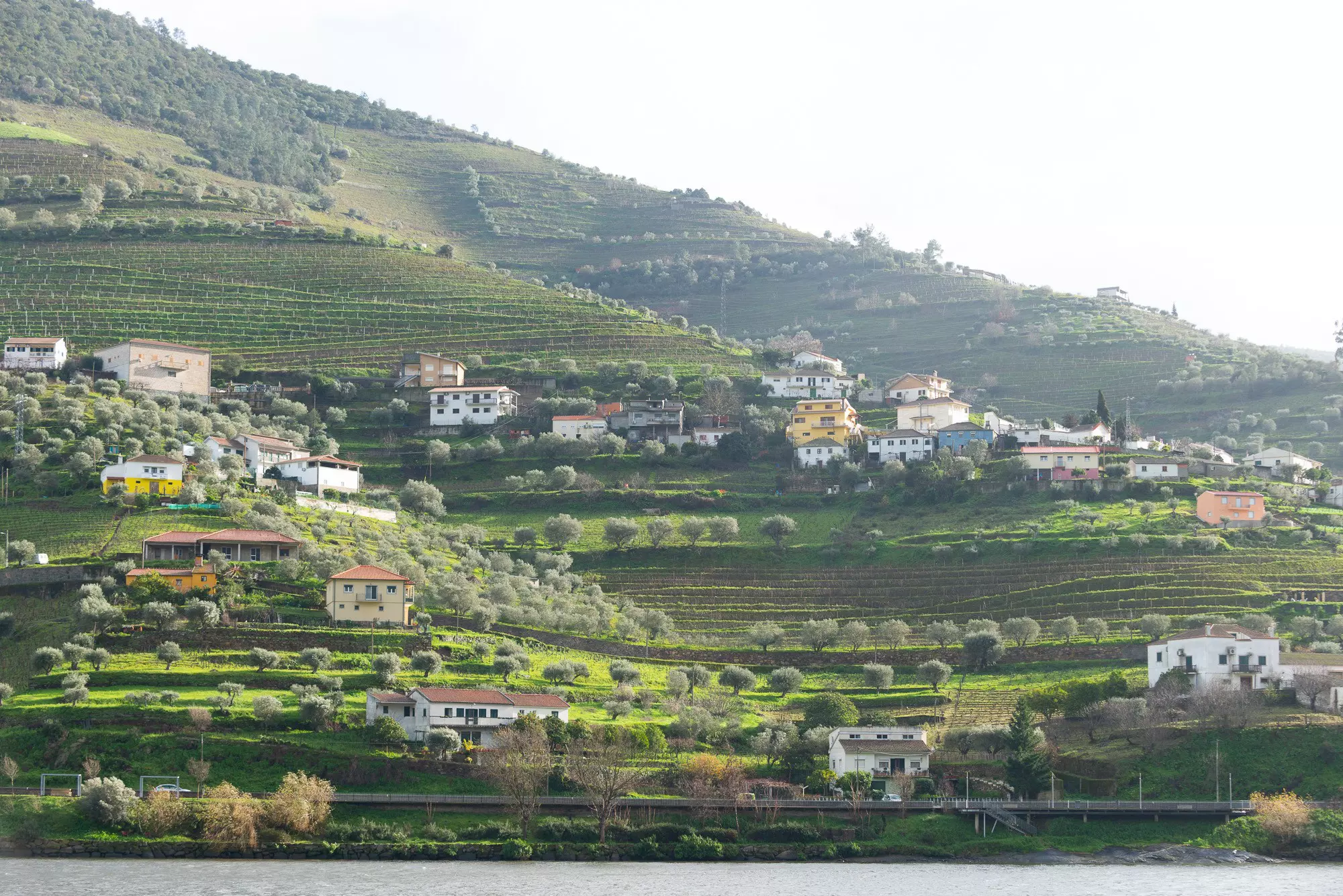 Duoro Valley viewed from the Linha do Douro (a round trip on this line cost €31)<strong> </strong>© Austin Bush/LonelyPlanet