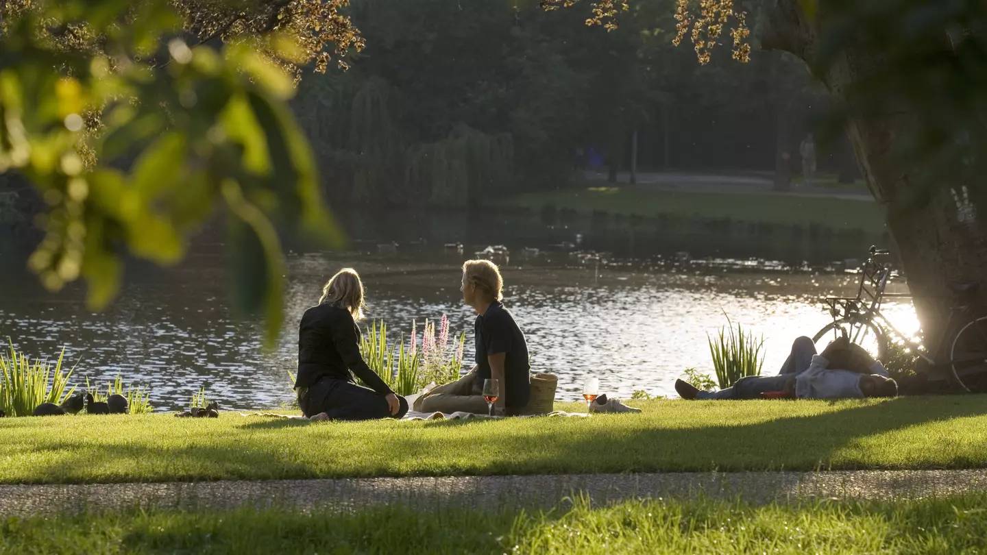Enjoy a picnic lunch in Belgium