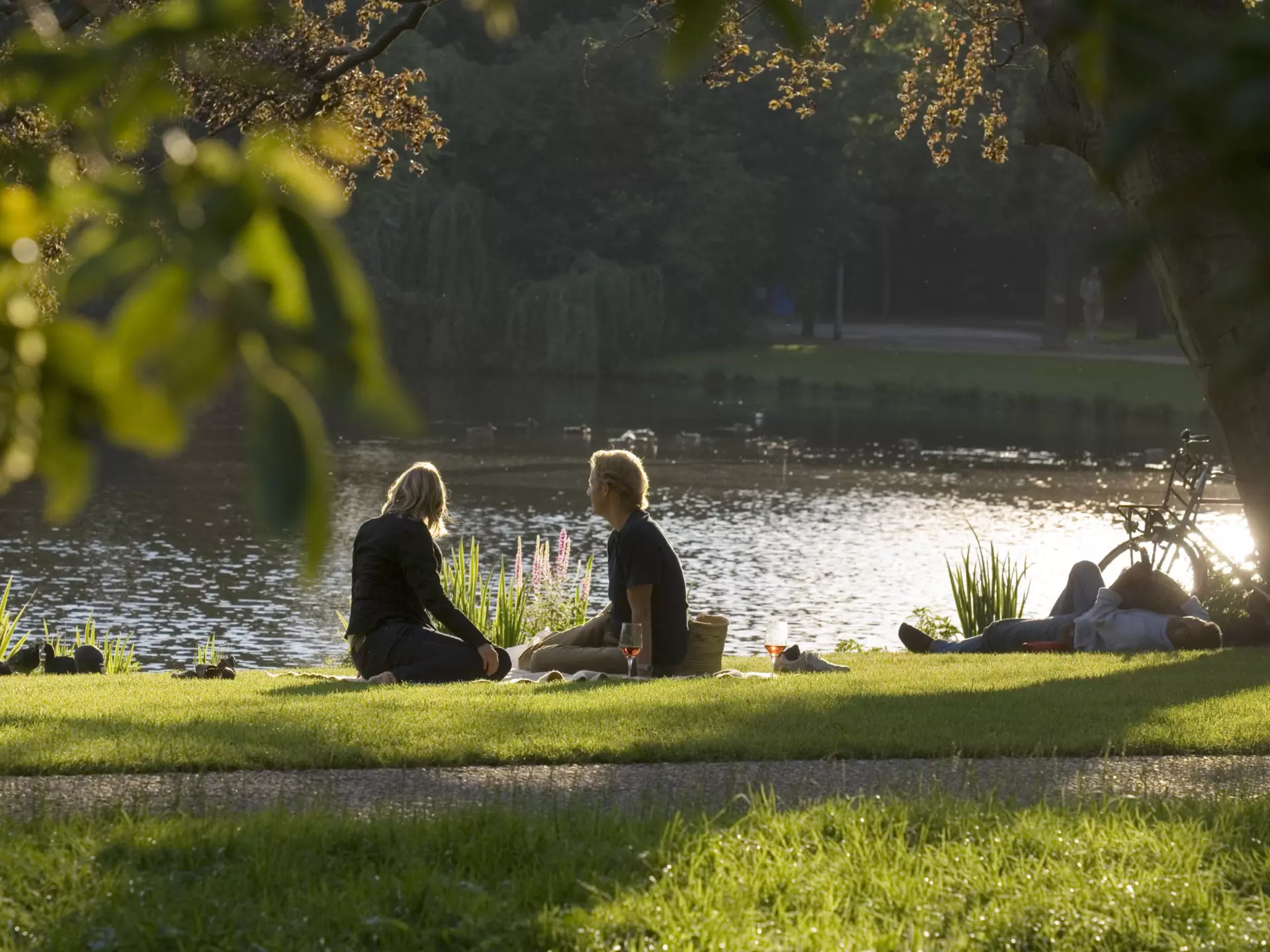 Enjoy a picnic lunch in Belgium