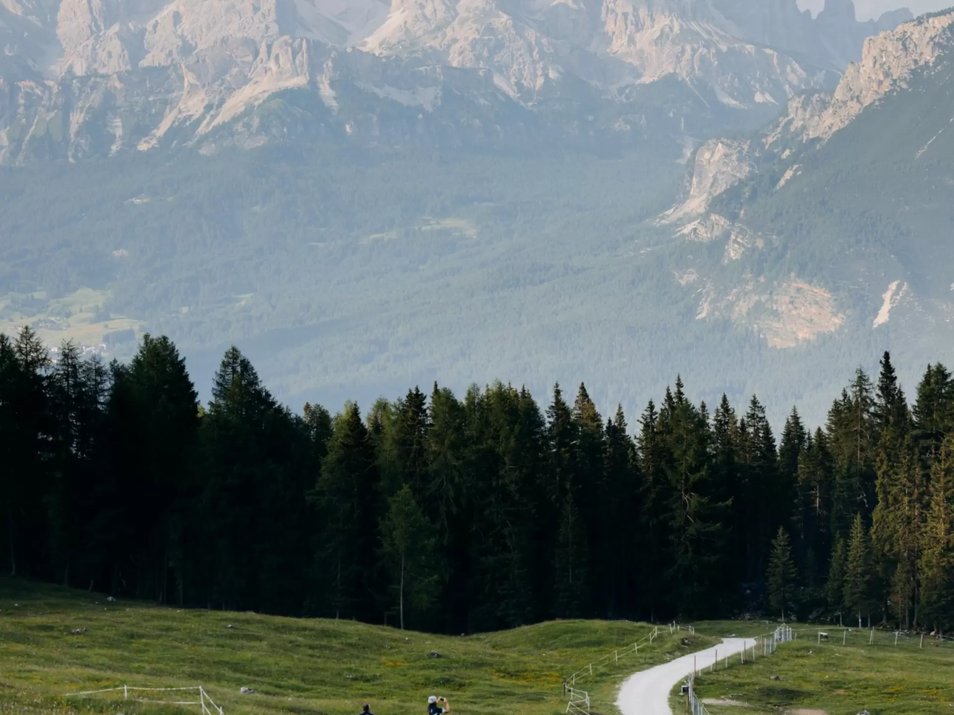 Cyclists on a path through grass; rocky peaks are in the background behind a line of evergreen trees.