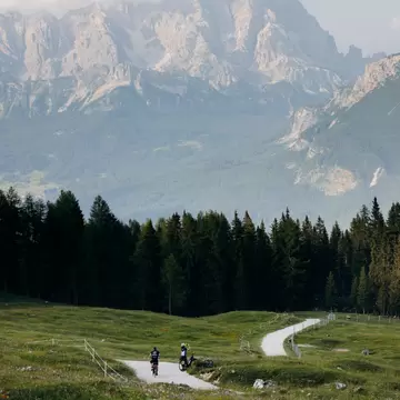 Cyclists on a path through grass; rocky peaks are in the background behind a line of evergreen trees.