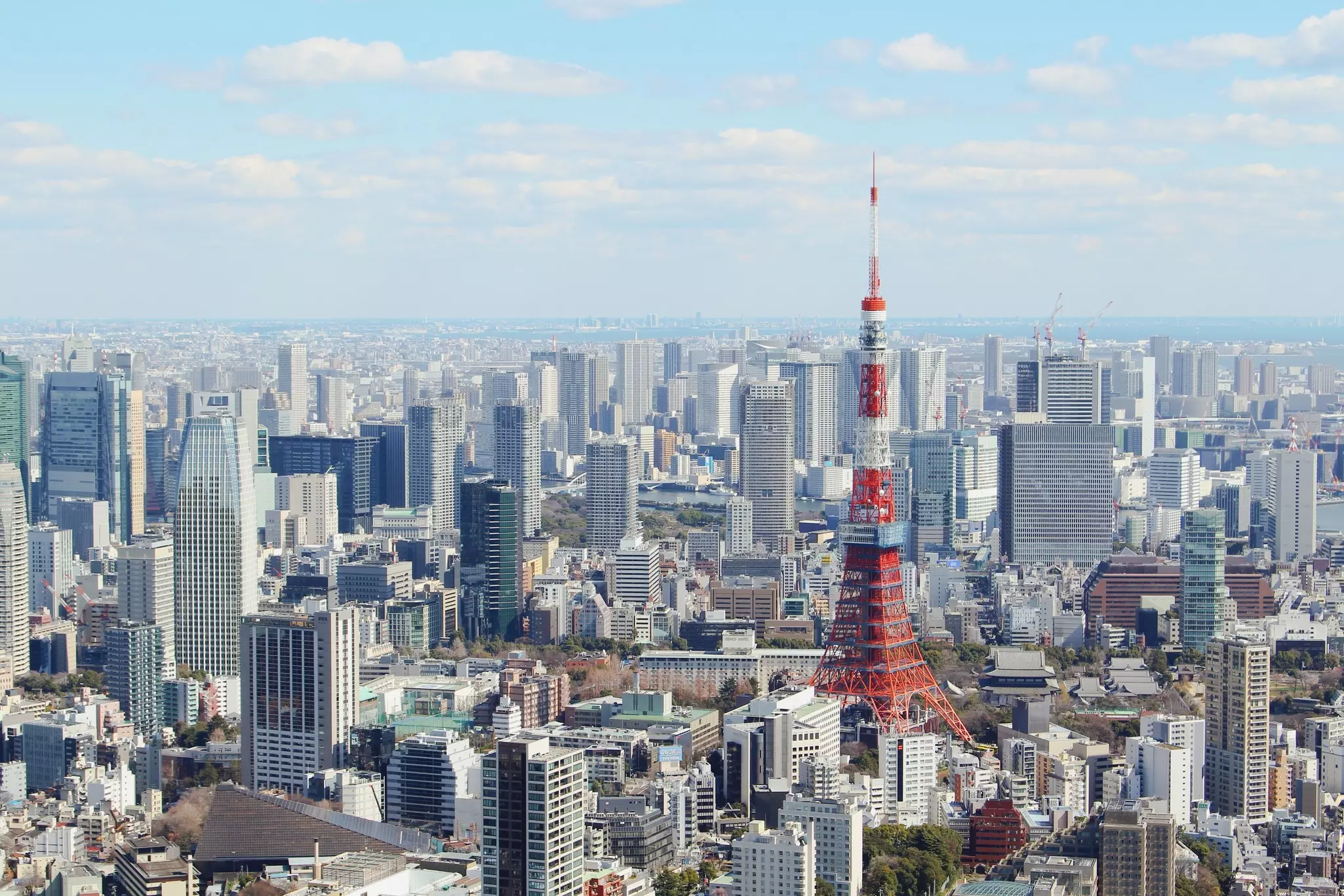 A view of the Tokyo Tower and the city skyline, Tokyo, Japan.