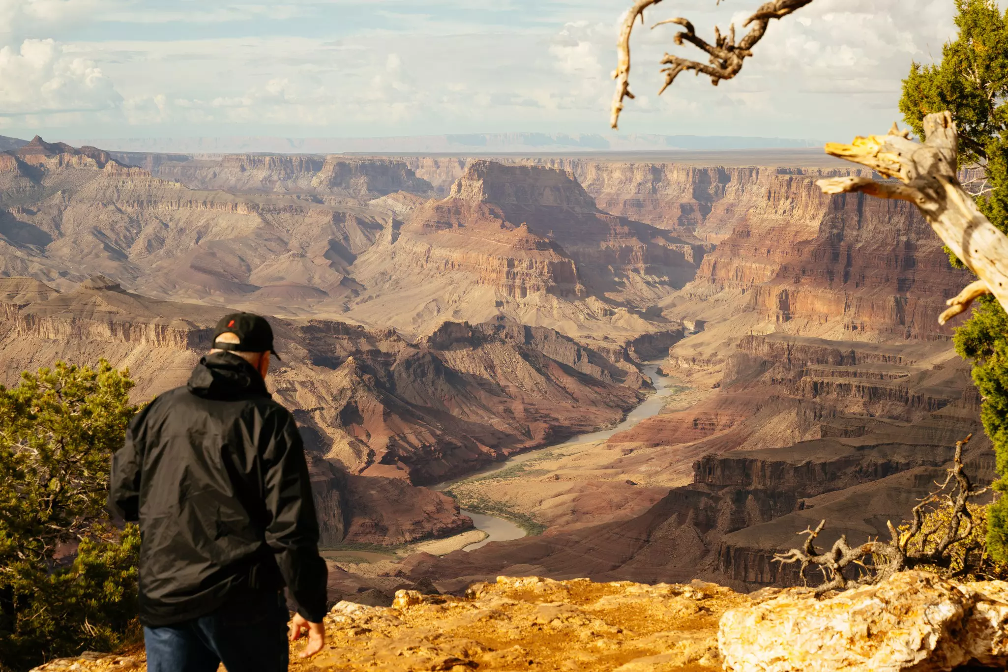 A person in a black jacket and hat walks toward a deep multicolored canyon.