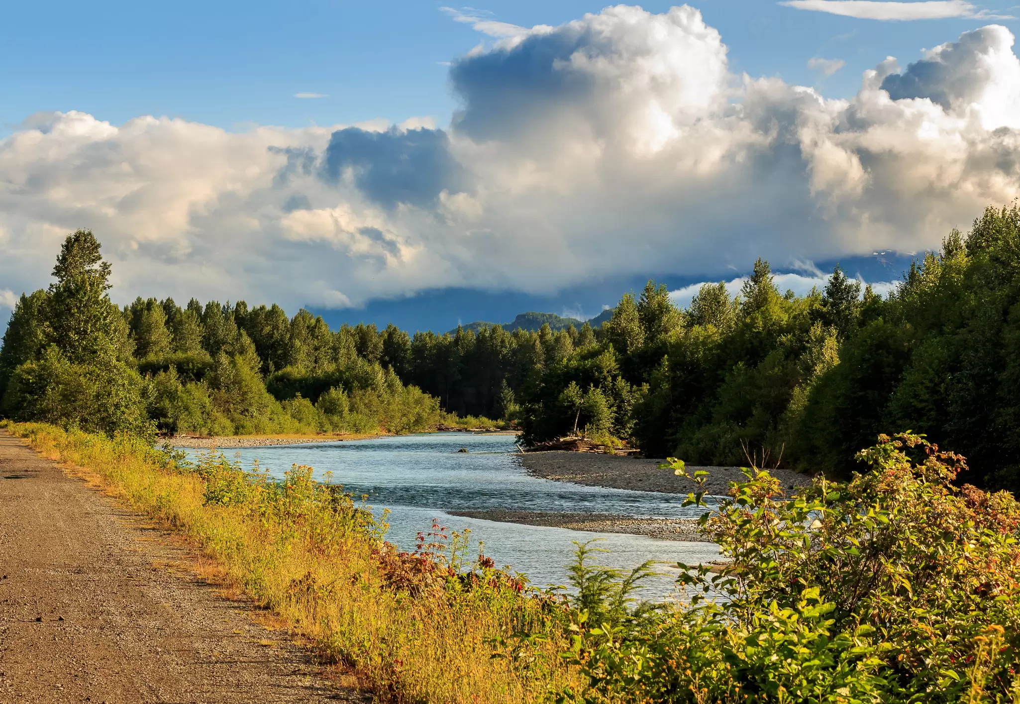 Looking downstream on the Kitimat River in the evening sun, British Columbia, Canada, with forest and cloudy sky in the distance., License Type: media, Download Time: 2025-11-27T16:55:53.000Z, User: Eointloughney87, Editorial: false, purchase_order: 56530 - Guidebooks, job: Global Publishing-WIP, client: BCO11, other: Eoin T Loughney