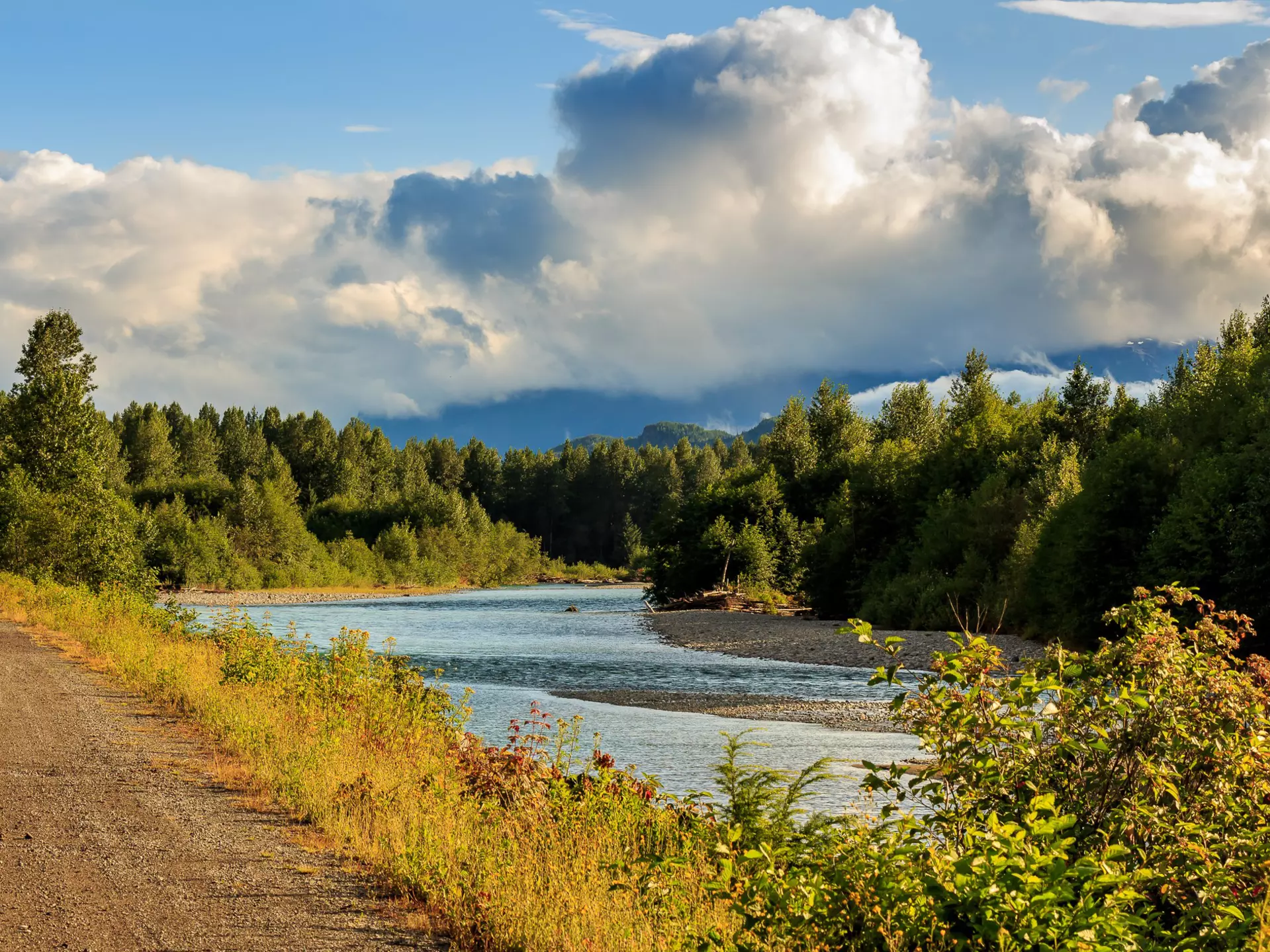 Looking downstream on the Kitimat River in the evening sun, British Columbia, Canada, with forest and cloudy sky in the distance., License Type: media, Download Time: 2025-11-27T16:55:53.000Z, User: Eointloughney87, Editorial: false, purchase_order: 56530 - Guidebooks, job: Global Publishing-WIP, client: BCO11, other: Eoin T Loughney