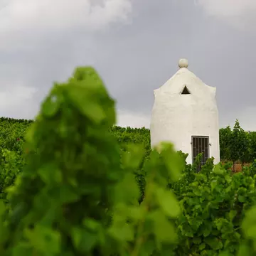 Rheinhessischer Trullo (vineyard shelter for the winemaker working in the vineyard) in case of approaching storm.