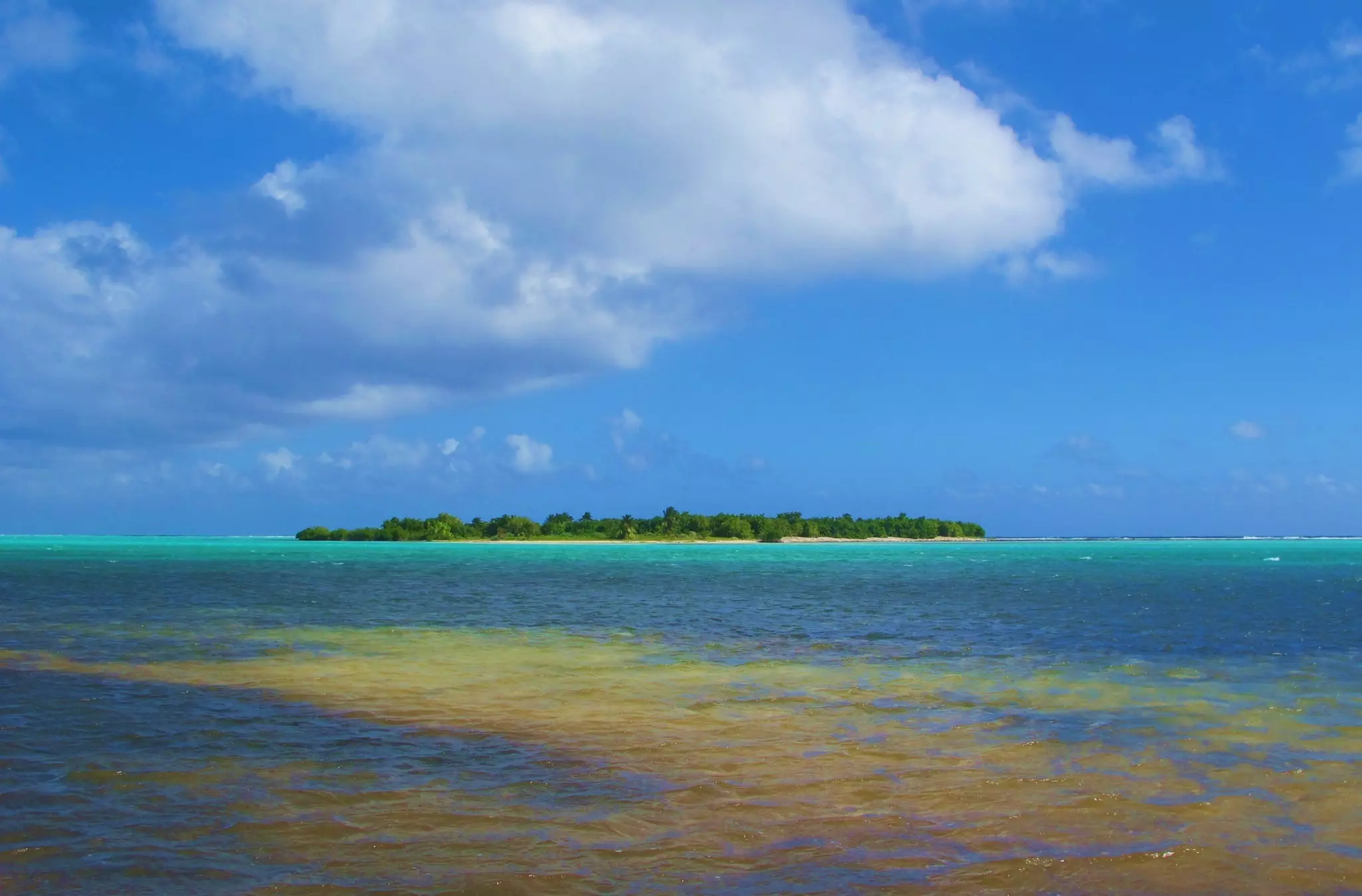 A small greenery-covered island out at sea.