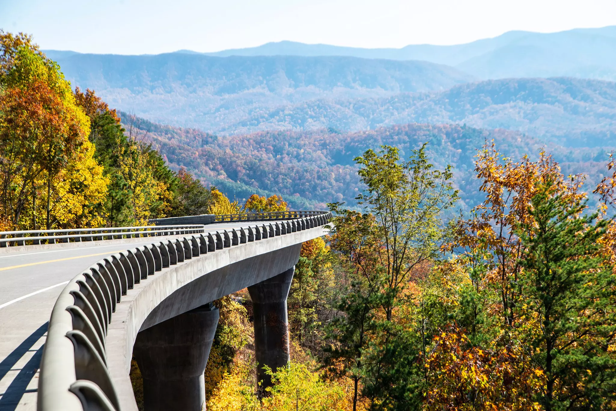 Raised two-lane roadway with guardrail and supported by cement columns above yellow and green treetops with rollling, forested hills in the distance.