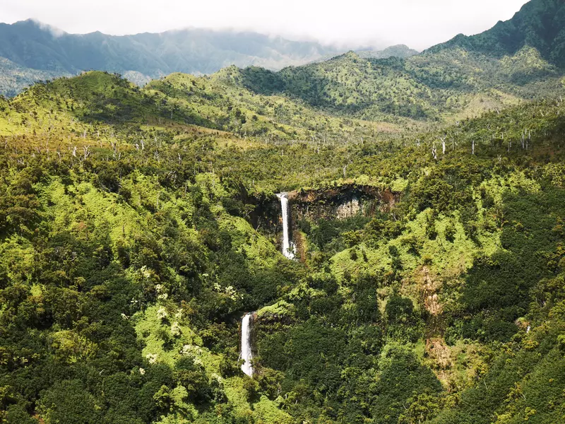 A waterfall plunges down into a ravine surrounded by dense tropical woodland.