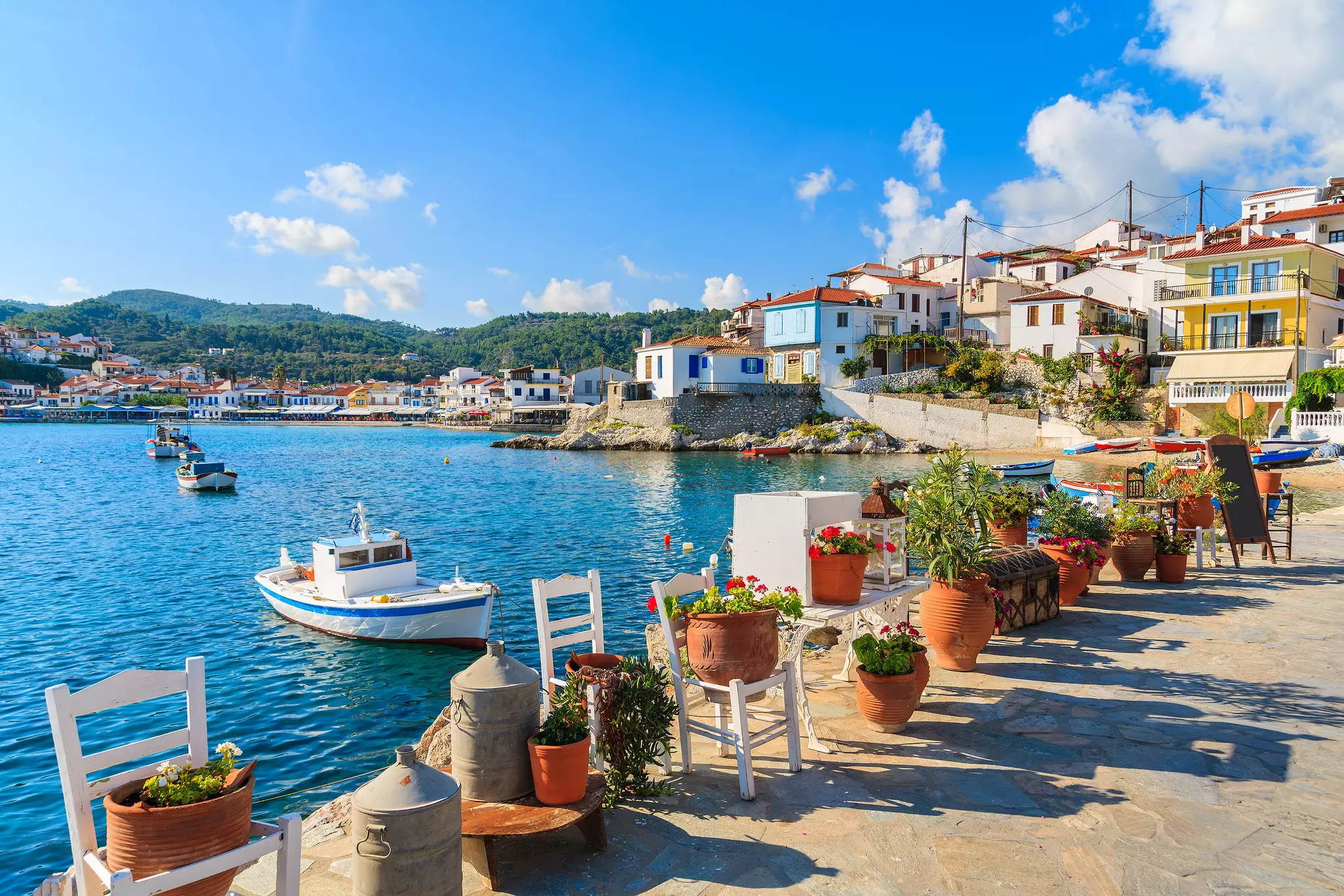Flower pots line a harbor with small fishing boats anchored nearby