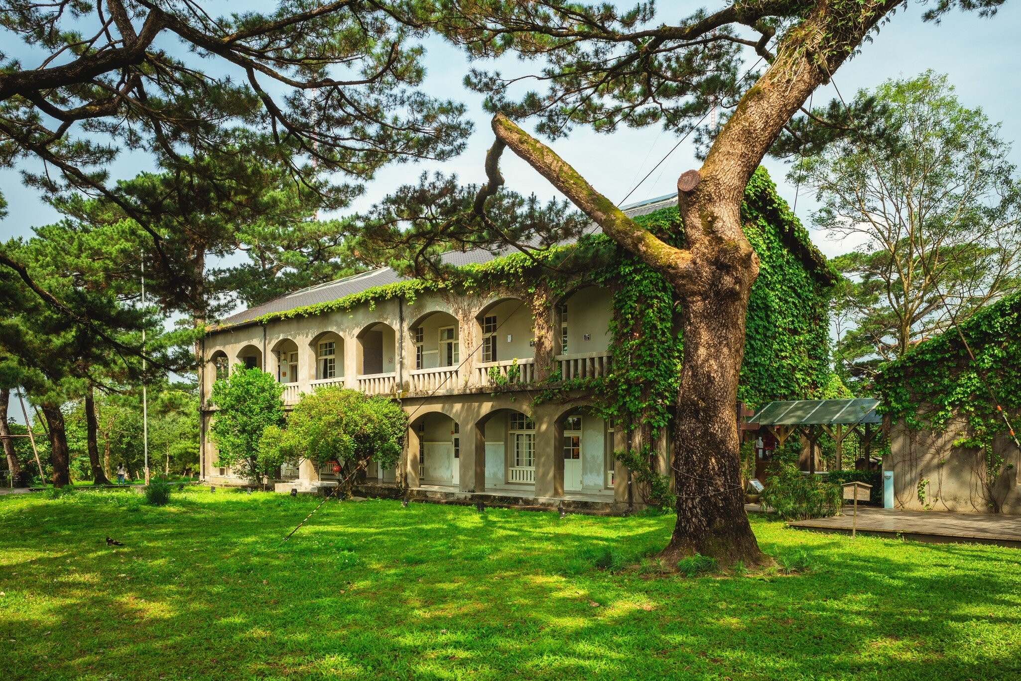 Pine Garden, a former Japanese military office in Hualien, Taiwan, covered in green ivy and surrounded by trees.