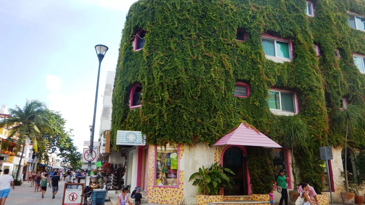 Outside image of a Playa del Carmen street with a vine covered building