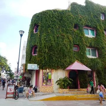 Outside image of a Playa del Carmen street with a vine covered building