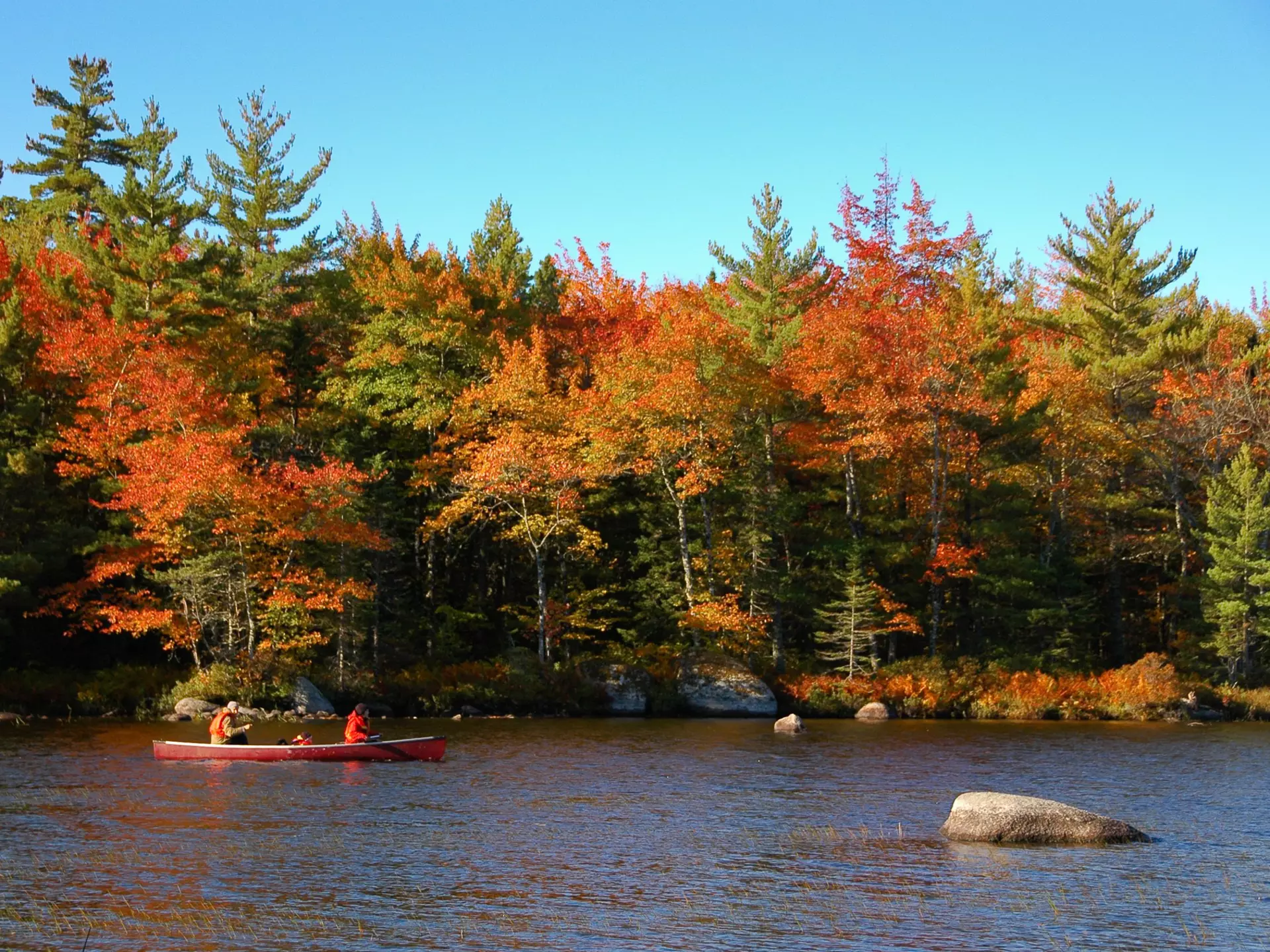 Two people paddle in a canoe through fall foliage at Kejimkujik National Park, Nova Scotia, Canada