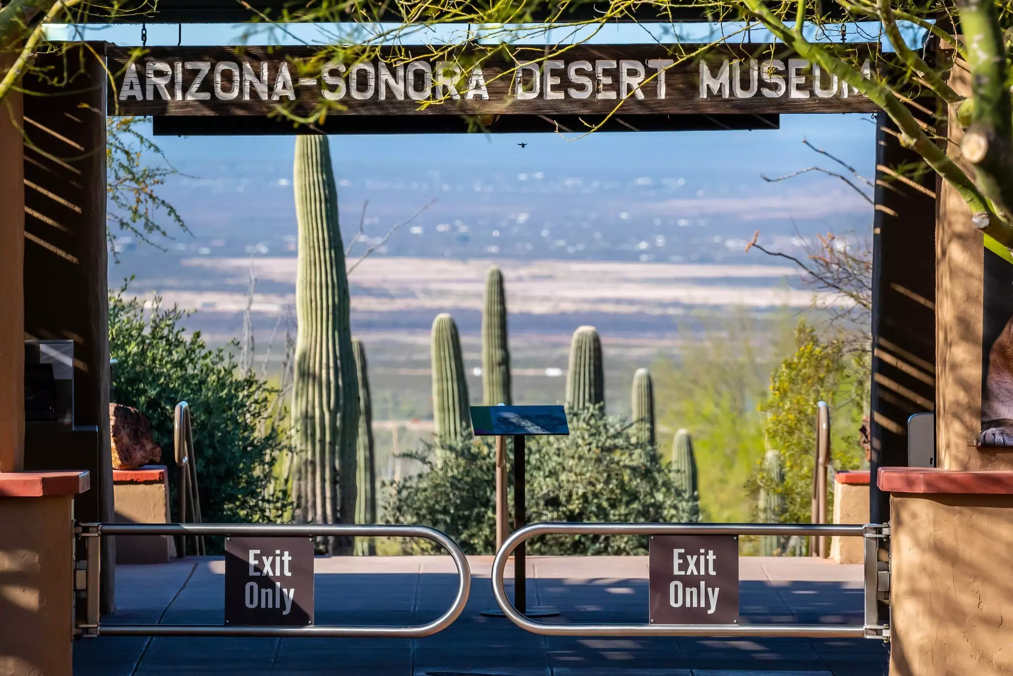 Sonora Desert Museum.jpg