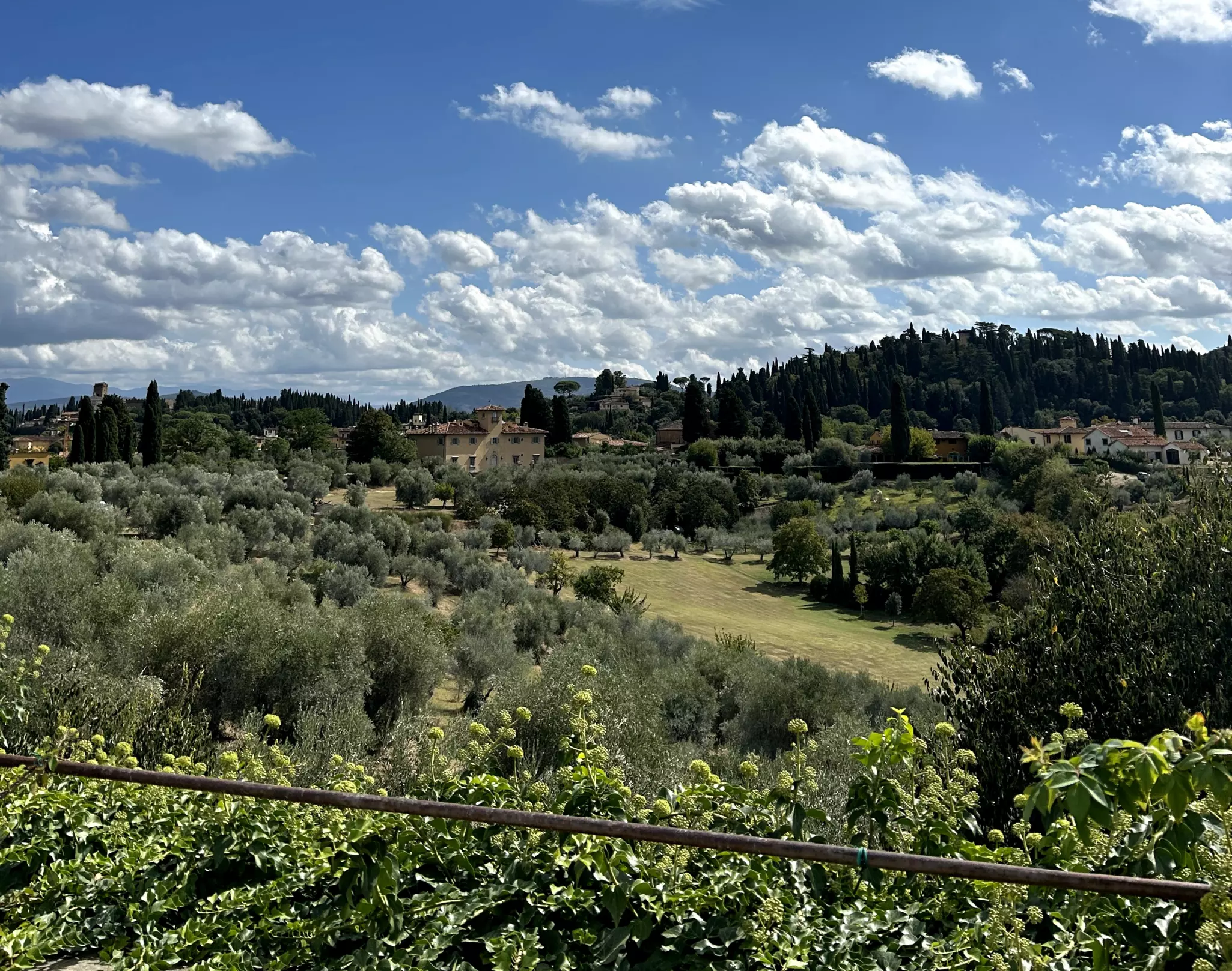 The rolling Tuscan Hills  of the Boboli Gardens © Conall Molloy / Lonely Planet