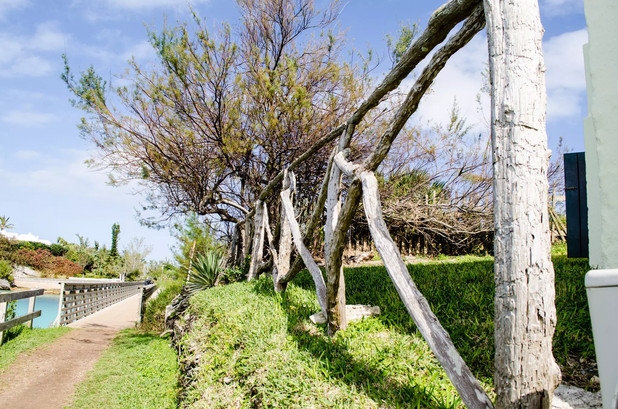 Bermuda's iconic Railway Trail can a great way to see the country's highlights © Trudie Ottolini / Getty Images