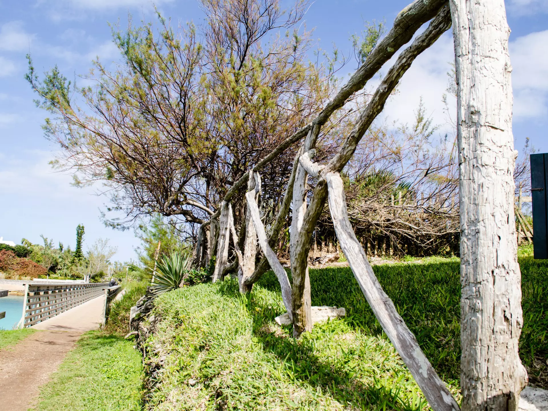 Bermuda's iconic Railway Trail can a great way to see the country's highlights © Trudie Ottolini / Getty Images