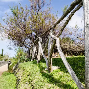 Bermuda's iconic Railway Trail can a great way to see the country's highlights © Trudie Ottolini / Getty Images