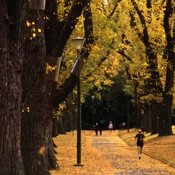 Woman running in Fitzroy Gardens during autumn. Melbourne, Australia.