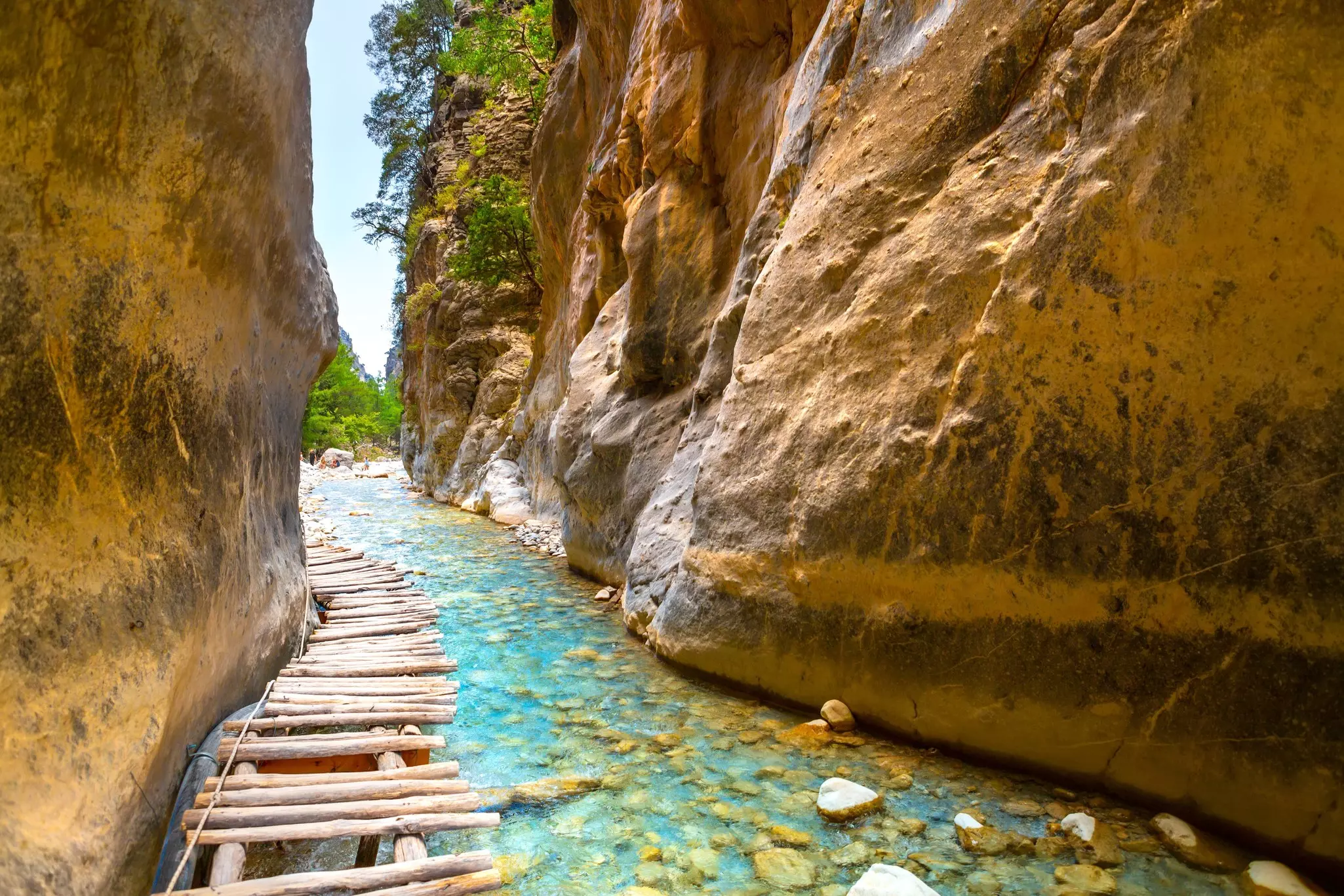 A walkway with wooden planks is placed over a stream in a tall gorge.