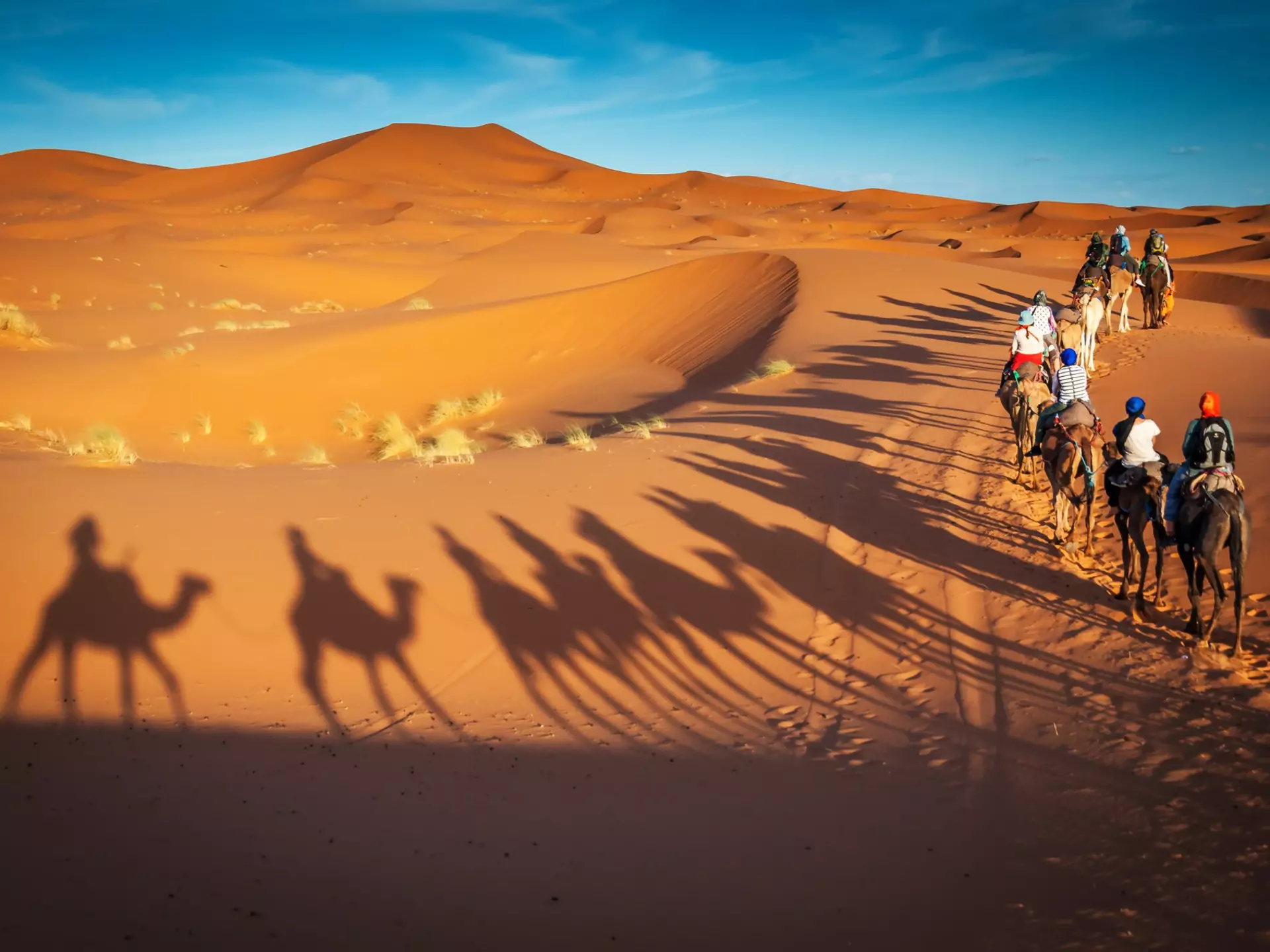 There’s nothing like a trip to the Sahara to evoke a sense of space and timelessness. Dan Baciu/Shutterstock