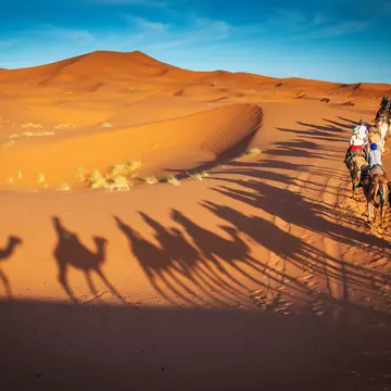 There’s nothing like a trip to the Sahara to evoke a sense of space and timelessness. Dan Baciu/Shutterstock