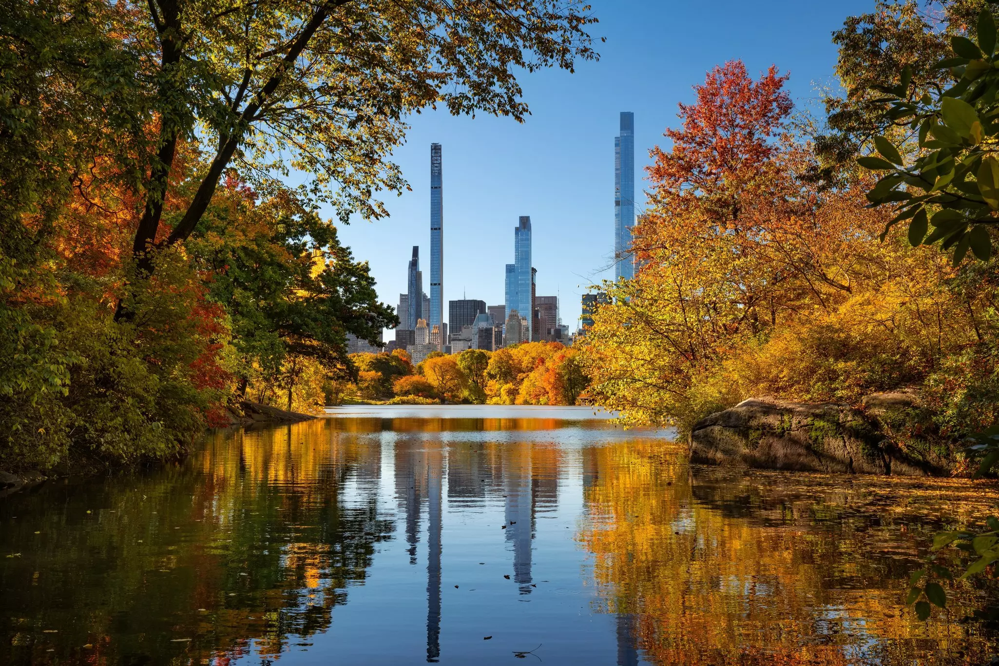 A lake surrounded by trees that glow golden in the autumn sunshine. Tall skyscrapers stand over the park.
